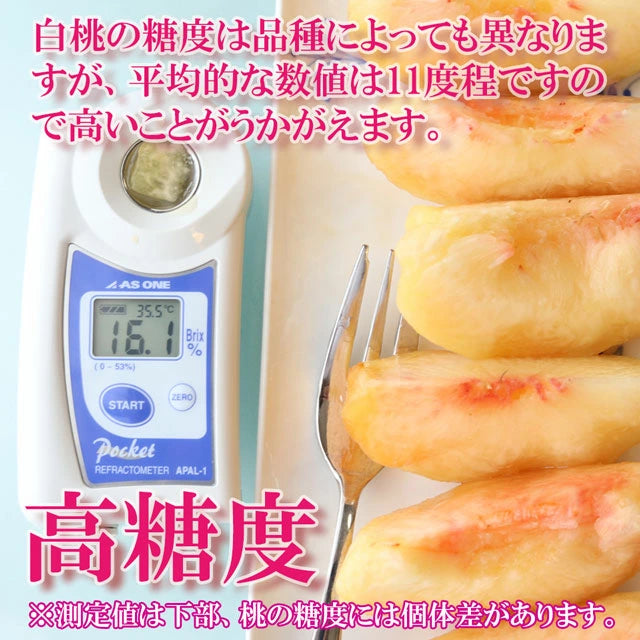 白桃 おかやま夢白桃 中大玉約1.5kg