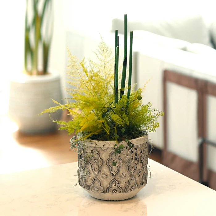 観葉植物 フェイクグリーン ペラ