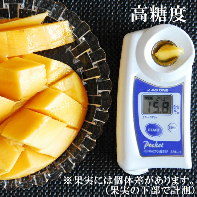 マンゴー 沖縄県 約2kg(4~6玉)