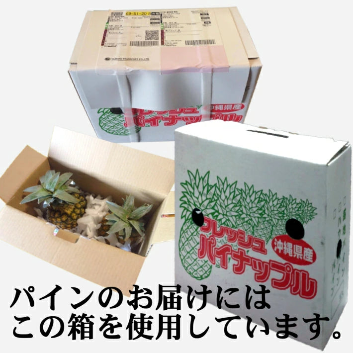 パイナップル ちぎって食べる スナックパイン 沖縄県 大玉 Lサイズ 2kg (約1kg×2玉)