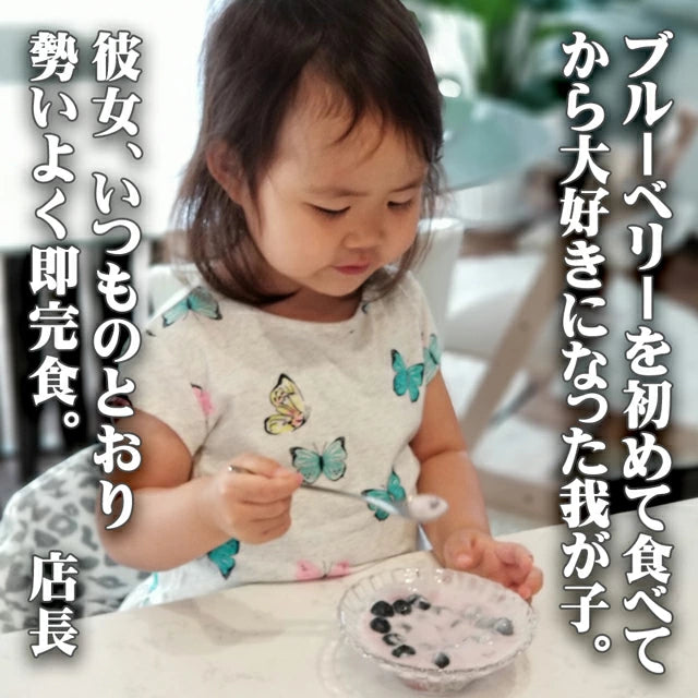 栃木県 生 ブルーベリー 大粒 1kg (約500g×2パック)
