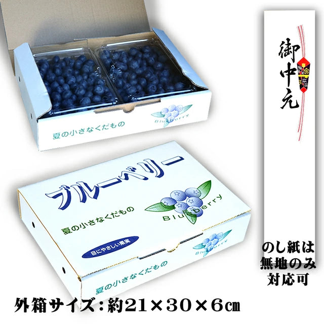 栃木県 生 ブルーベリー 大粒 1kg (約500g×2パック)