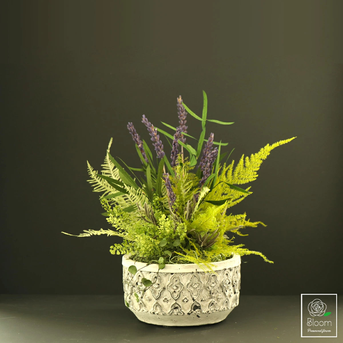 観葉植物 プリザーブドフラワー