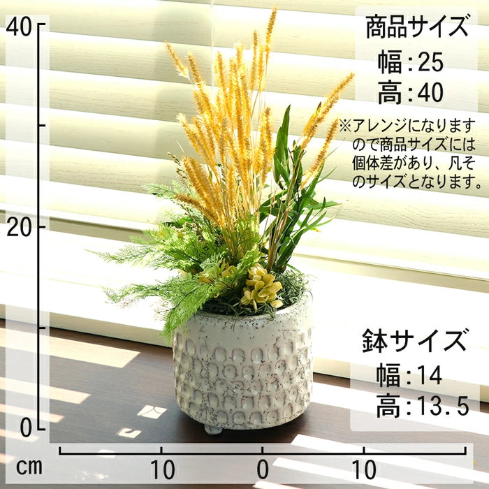 観葉植物 フェイク グリーン プリザーブドフラワー