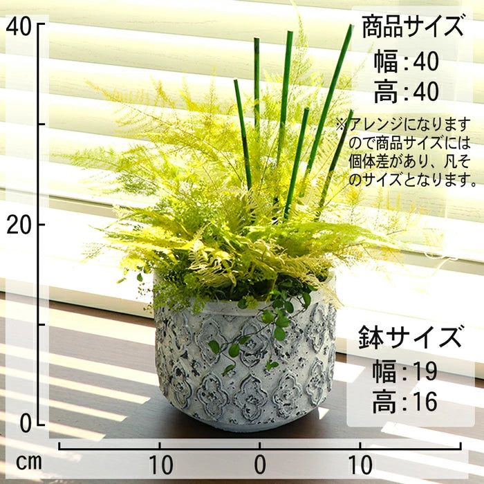 観葉植物 フェイクグリーン ペラ