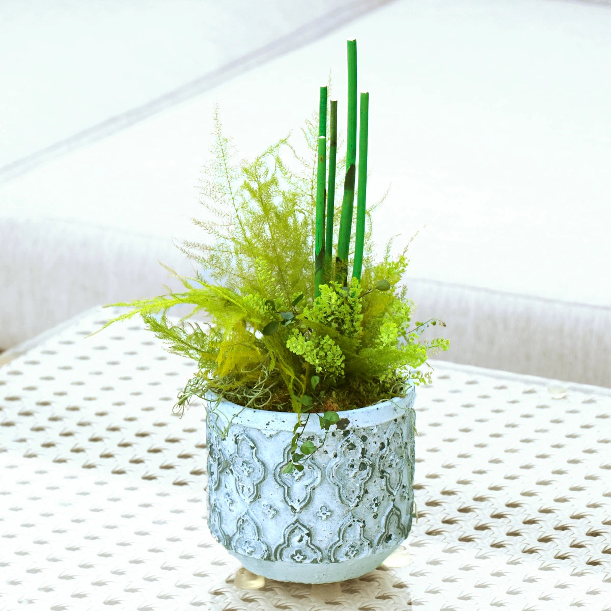 観葉植物 フェイクグリーン ペラ