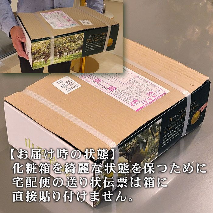 ラフランス 洋梨 山形県産 約3kg 特大玉 大玉 中玉 秀品 プレミアム ラ・フランス 洋ナシ