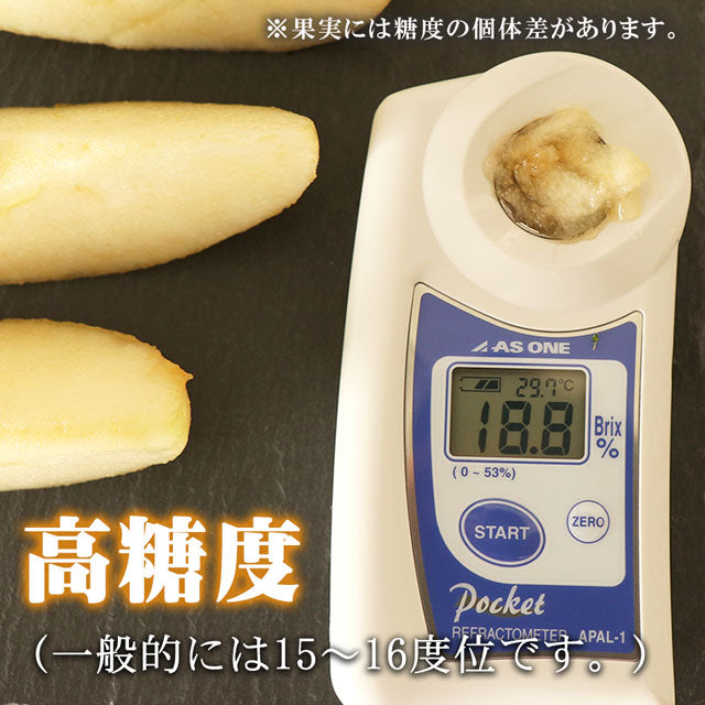 ラフランス 洋梨 山形県産 約3kg 特大玉 大玉 中玉 秀品 プレミアム ラ・フランス 洋ナシ