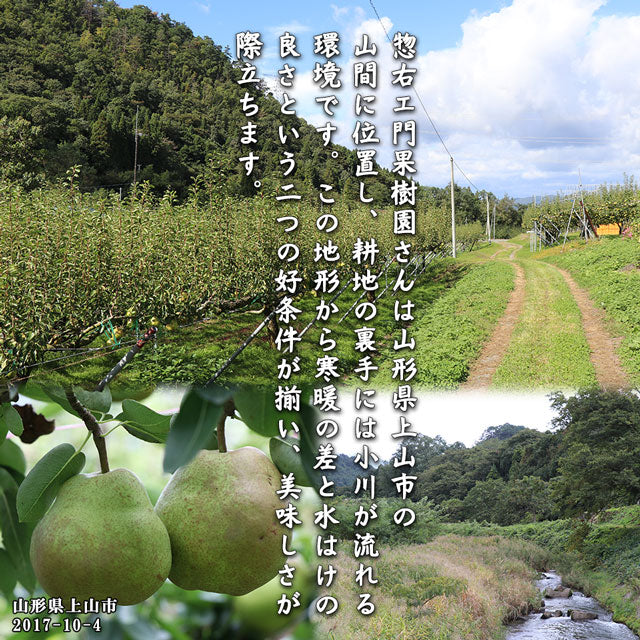 ラフランス 洋梨 山形県産 約3kg 特大玉 大玉 中玉 秀品 プレミアム ラ・フランス 洋ナシ
