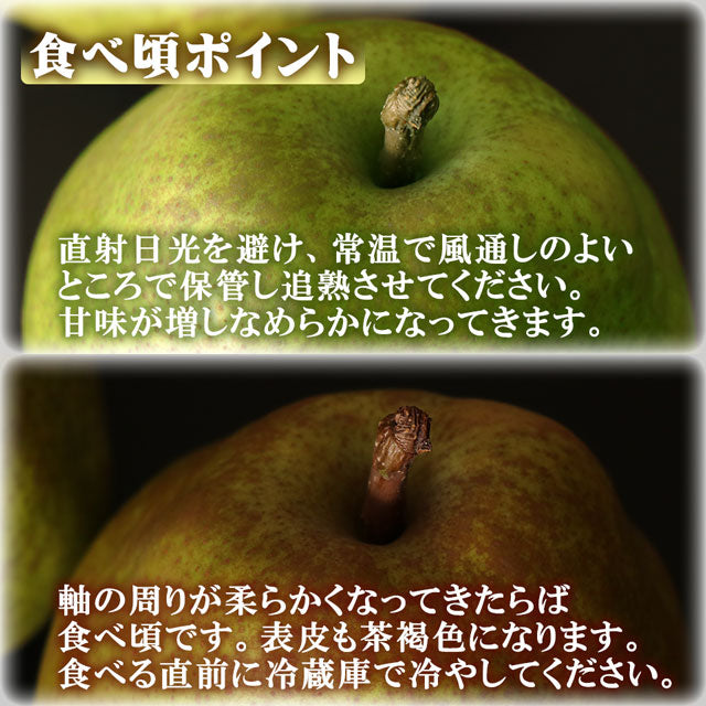 ラフランス 洋梨 山形県産 約3kg 特大玉 大玉 中玉 秀品 プレミアム ラ・フランス 洋ナシ