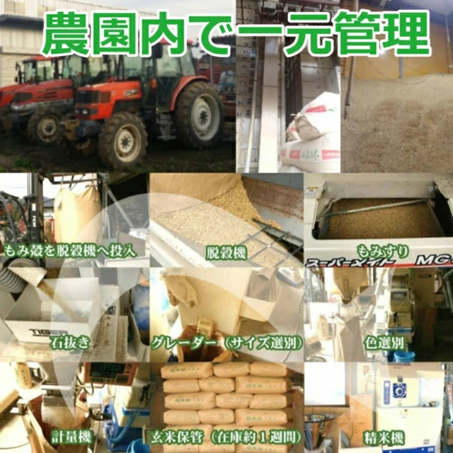 新米 コシヒカリ 令和7年産 2025年産 栃木県 農家直送 発送中