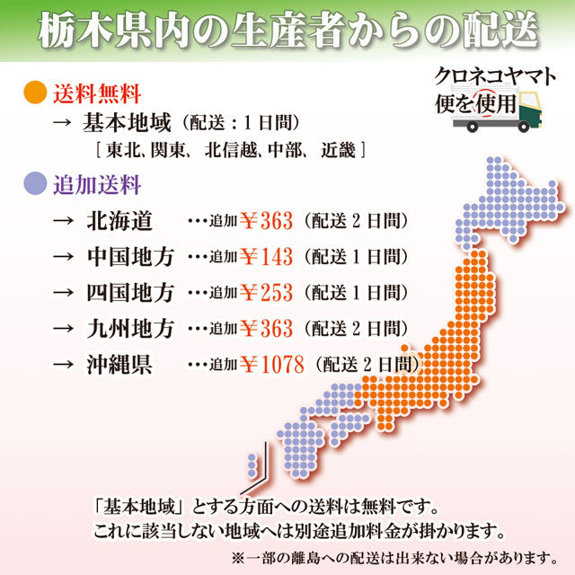 栃木県産高級ブランドいちご「スカイベリー」280g×2パック