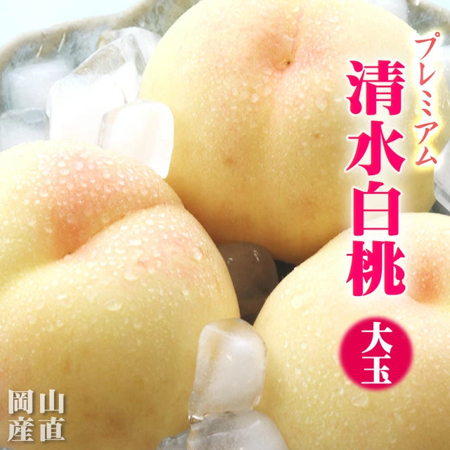 清水白桃 中大玉 大玉 特大玉 約1.2キロ