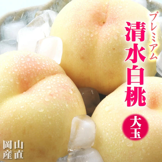 清水白桃 中大玉 大玉 特大玉 約1.2キロ
