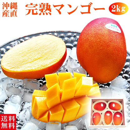 マンゴー 沖縄県 約2kg(4～6玉)