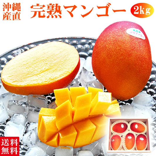 マンゴー 沖縄県 約2kg(4～6玉)
