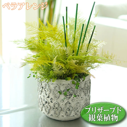 観葉植物 フェイクグリーン ペラ