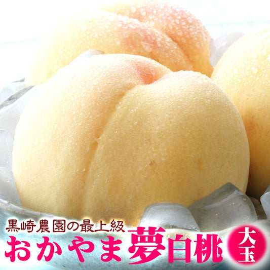 白桃 おかやま夢白桃 中大玉約1.5kg