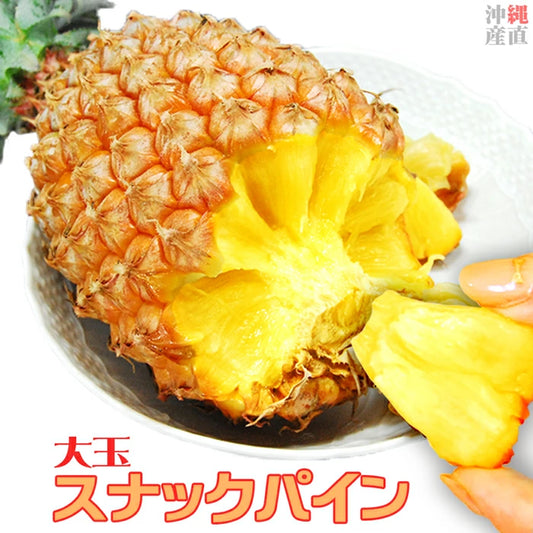 パイナップル ちぎって食べる スナックパイン 沖縄県 大玉 Lサイズ 2kg (約1kg×2玉)