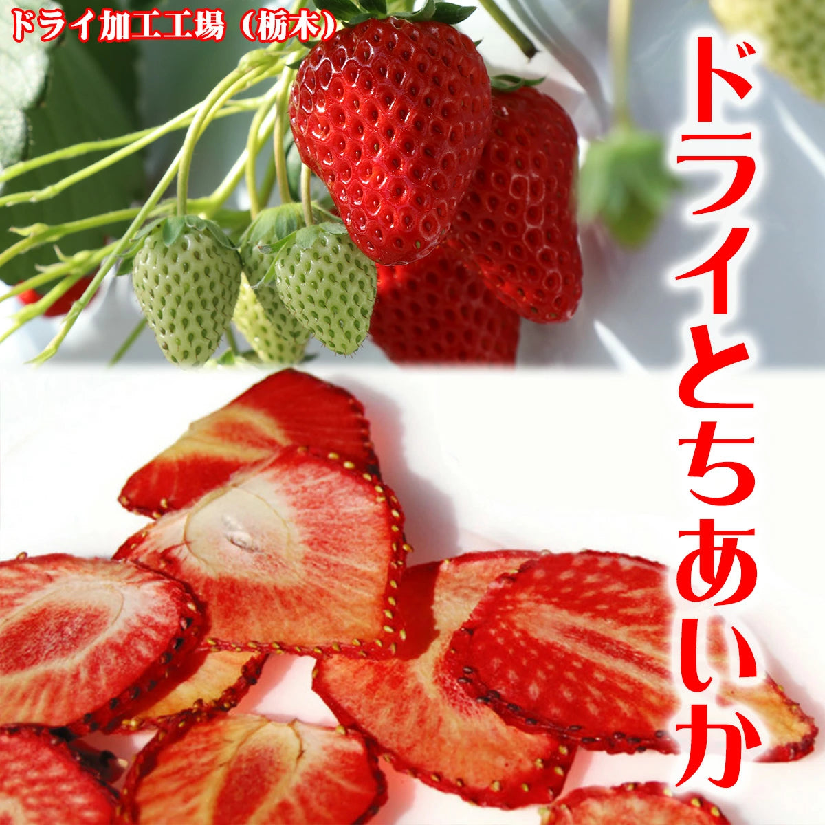 ドライフルーツ いちご とちあいか 無添加 砂糖不使用