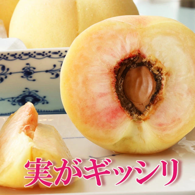 白桃 おかやま夢白桃 中大玉約1.5kg