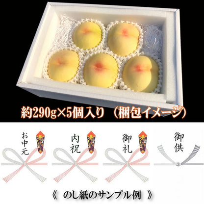 清水白桃 中大玉 大玉 特大玉 約1.2キロ