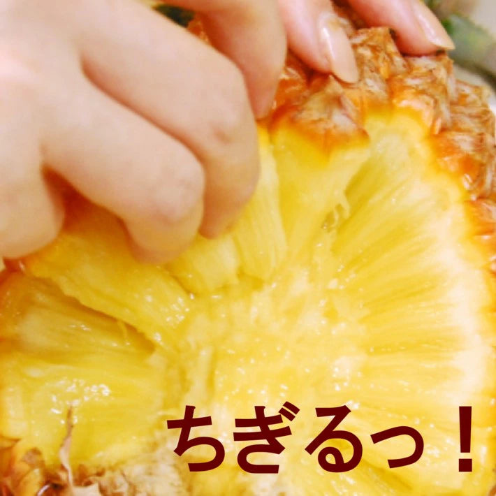 パイナップル ちぎって食べる スナックパイン 沖縄県 大玉 Lサイズ 2kg (約1kg×2玉)