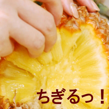 パイナップル ちぎって食べる スナックパイン 沖縄県 大玉 Lサイズ 2kg (約1kg×2玉)