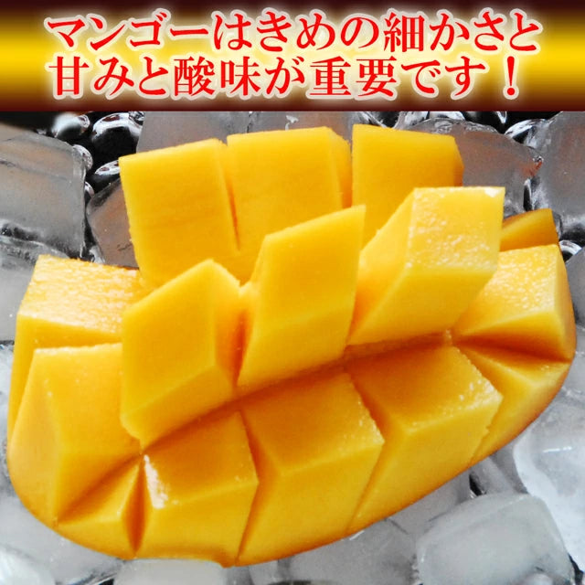 マンゴー 沖縄県 約2kg(4～6玉)