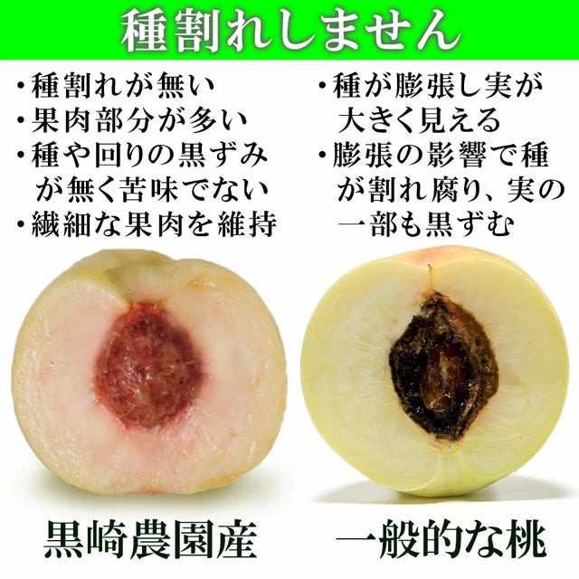 白桃 おかやま夢白桃 中大玉約1.5kg