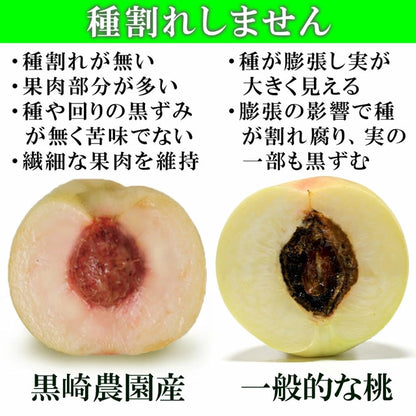 白桃 おかやま夢白桃 中大玉約1.5kg