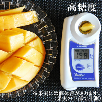 マンゴー 沖縄県 約2kg(4～6玉)