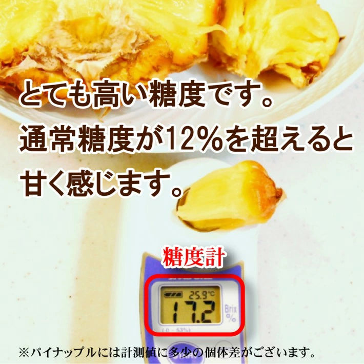 パイナップル ちぎって食べる スナックパイン 沖縄県 大玉 Lサイズ 2kg (約1kg×2玉)