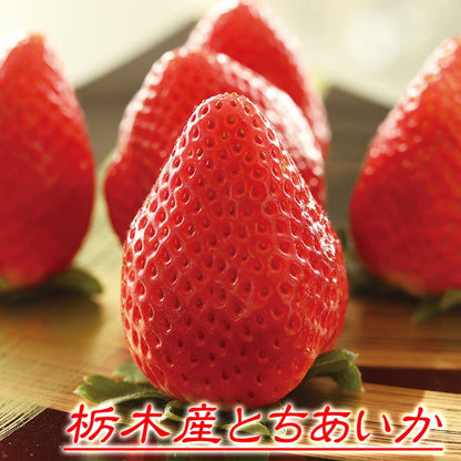 ドライフルーツ いちご とちあいか 無添加 砂糖不使用