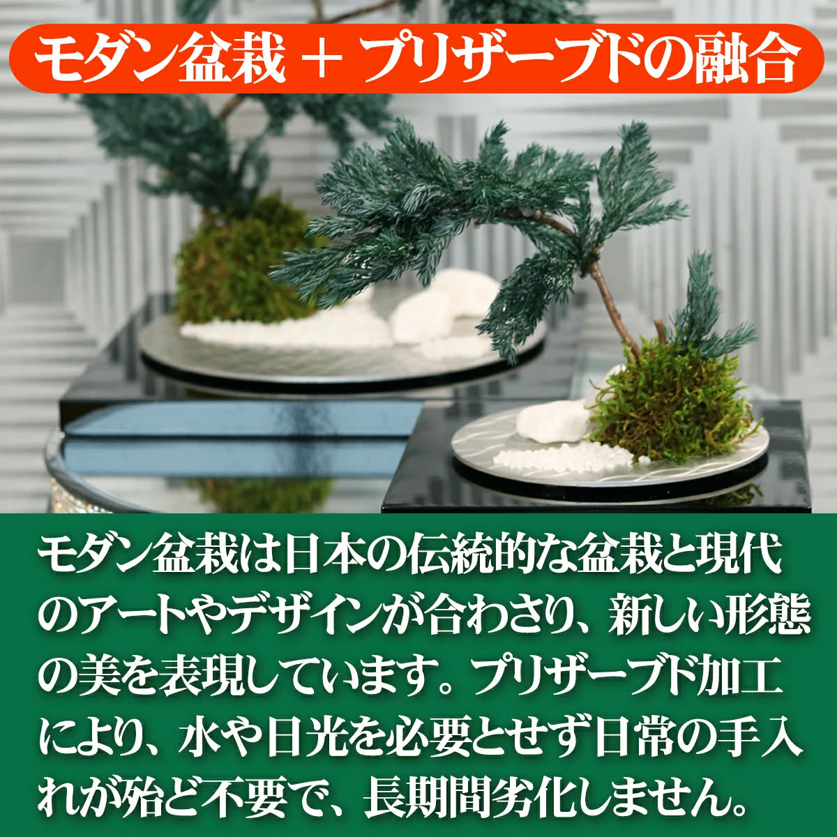 枯れない 盆栽 プリザーブドフラワー 漆 松 ギフト