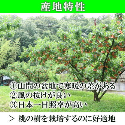 白桃 おかやま夢白桃 中大玉約1.5kg