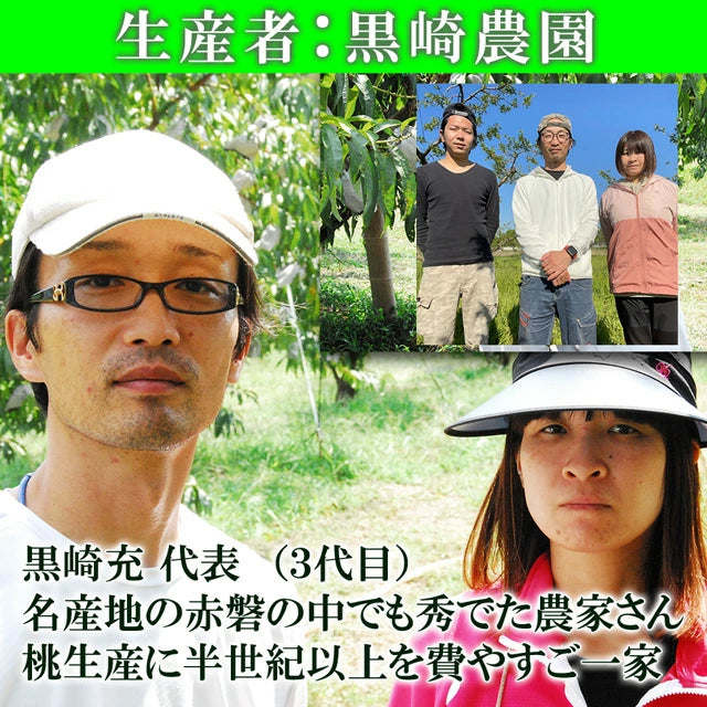 清水白桃 中大玉 大玉 特大玉 約1.2キロ