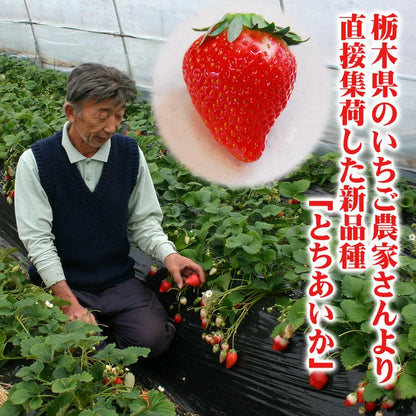 ドライフルーツ いちご とちあいか 無添加 砂糖不使用