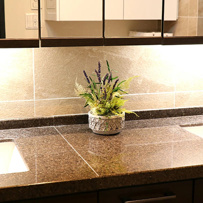 観葉植物 プリザーブドフラワー