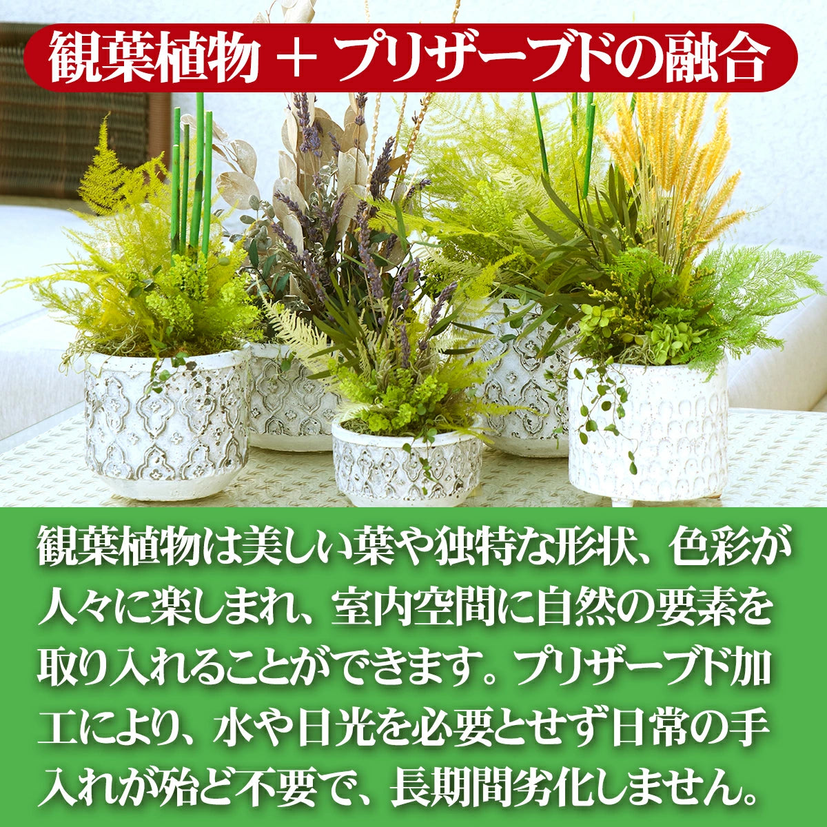 観葉植物 フェイクグリーン ユーカリ ポプルス
