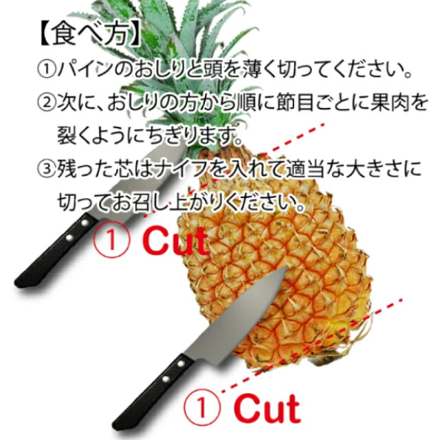 パイナップル ちぎって食べる スナックパイン 沖縄県 大玉 Lサイズ 2kg (約1kg×2玉)