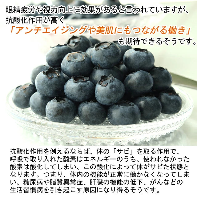 栃木県 生 ブルーベリー 大粒 1kg （約500g×2パック）