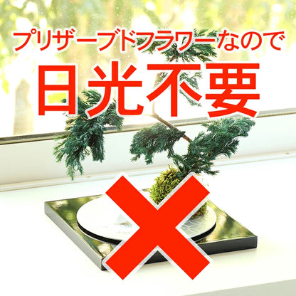 観葉植物 フェイクグリーン ユーカリ ポプルス