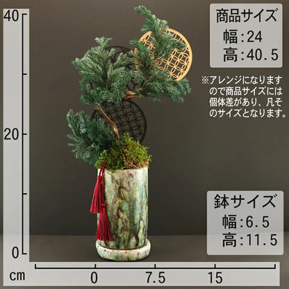 敬老の日 ギフト プリザーブド 盆栽 月松 プリザーブドフラワー