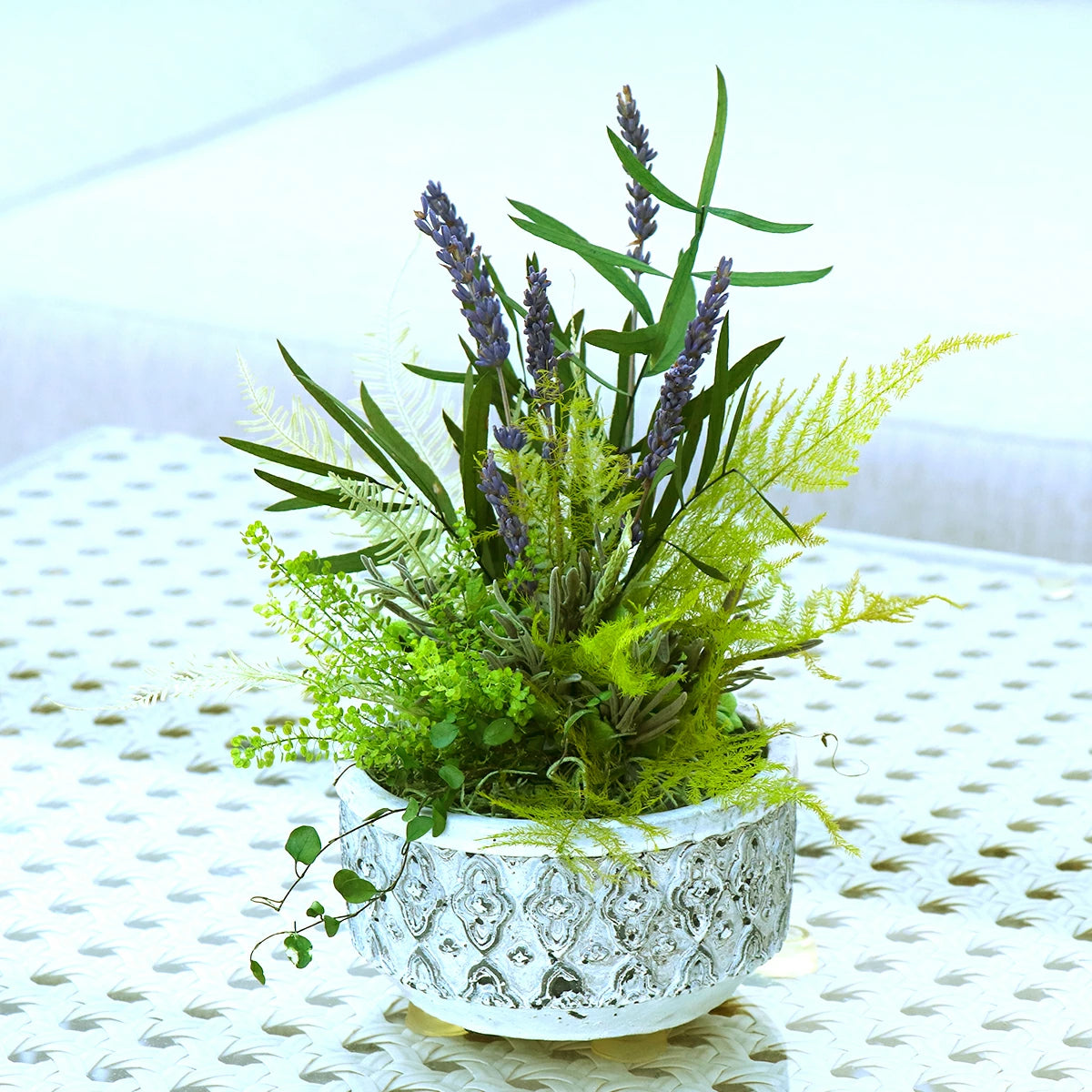 観葉植物 プリザーブドフラワー