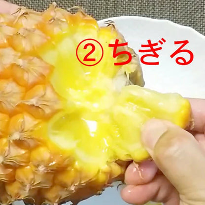 パイナップル ちぎって食べる スナックパイン 沖縄県 大玉 Lサイズ 2kg (約1kg×2玉)