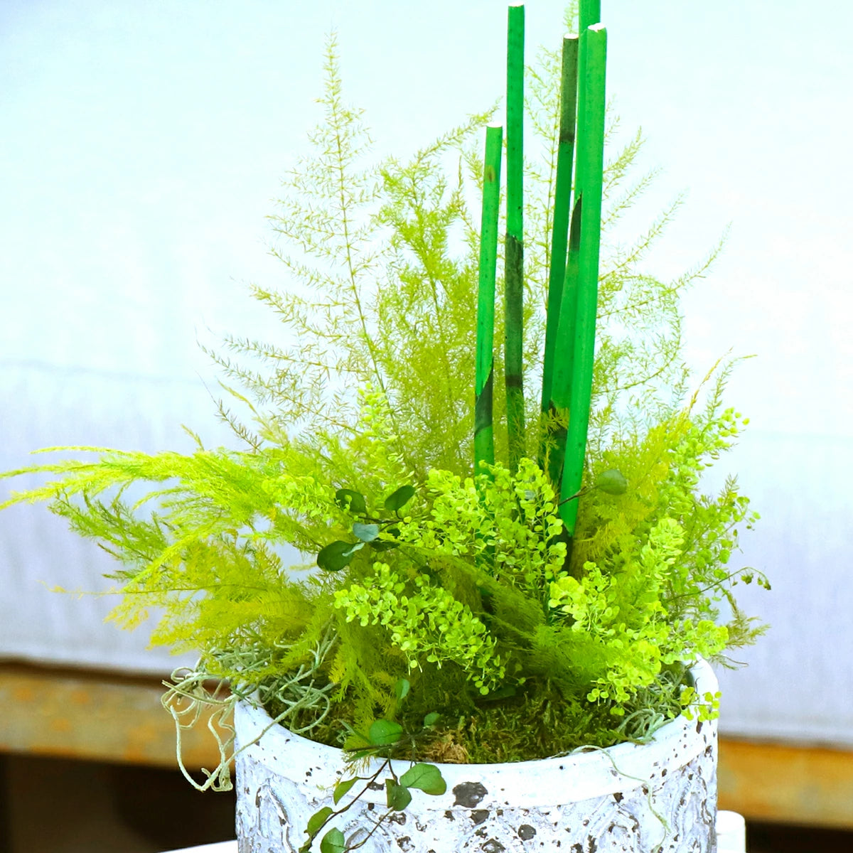 観葉植物 フェイクグリーン ペラ