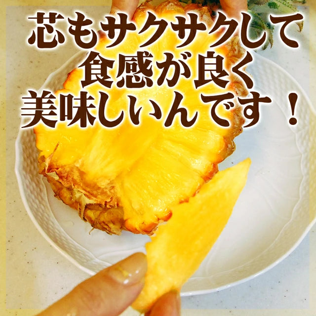 パイナップル ちぎって食べる スナックパイン 沖縄県 大玉 Lサイズ 2kg (約1kg×2玉)