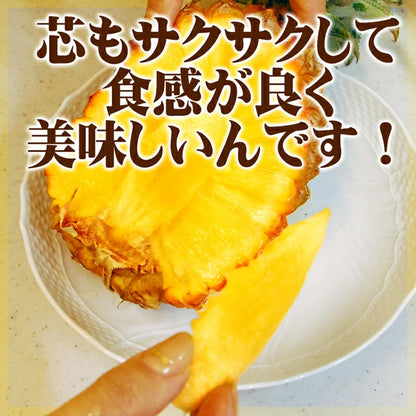 パイナップル ちぎって食べる スナックパイン 沖縄県 大玉 Lサイズ 2kg (約1kg×2玉)