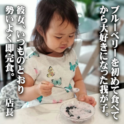 栃木県 生 ブルーベリー 大粒 1kg （約500g×2パック）